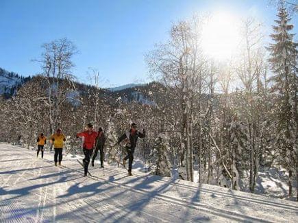 Cross-country skiing Langlaufschule Olympia - Torghele's Wald + Fluh